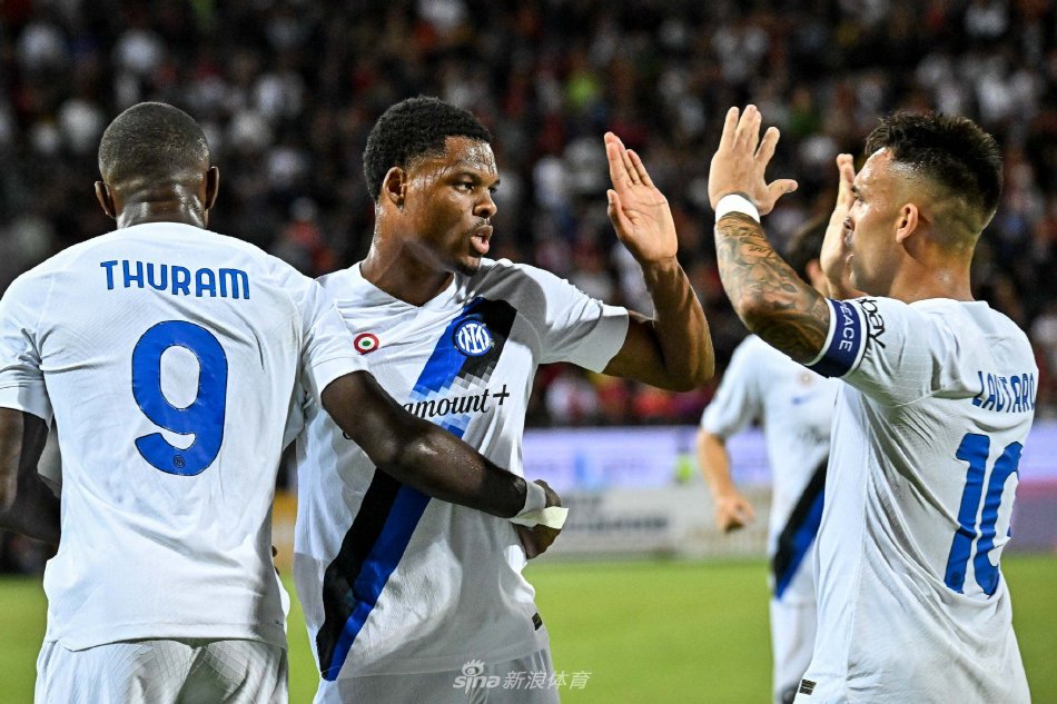 类似情形的 类似情形的